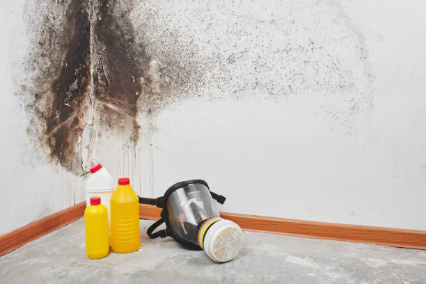 Best Bathroom Mold Remediation in Carthage, NC